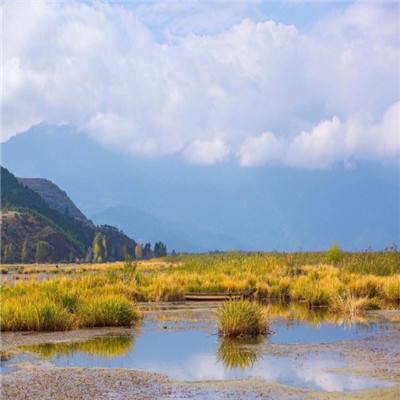 3359开元下载苹果下载