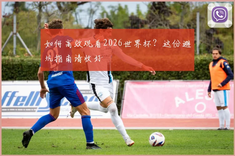 如何高效观看2026世界杯？这份避坑指南请收好