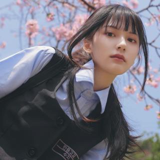 凤凰彩票老平台截图