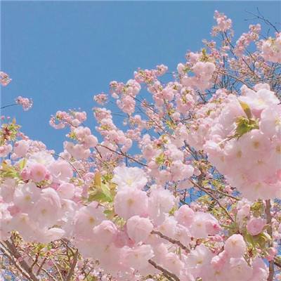 网易彩票app下载