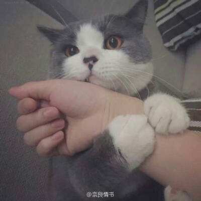 金彩汇用户登录截图