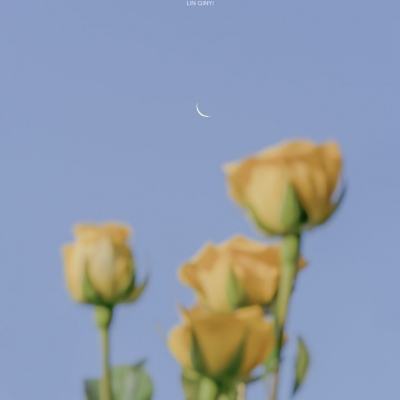 163计划软件截图