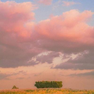 抖音