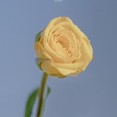 500彩票App下载截图