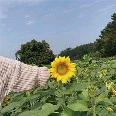 大发彩神争8截图
