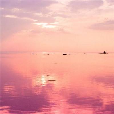 星空·体育登录入口
