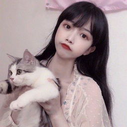 乐发Ⅷl截图