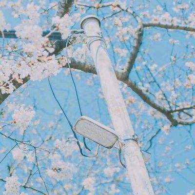 HGA010官方下载苹果