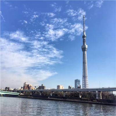 伟德手机网页版