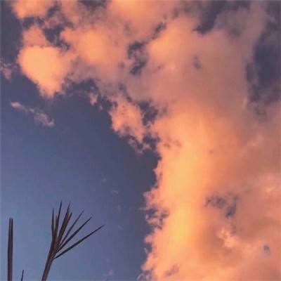 三公牛牛