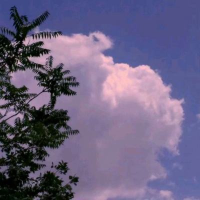 红黑大战官方正版下载