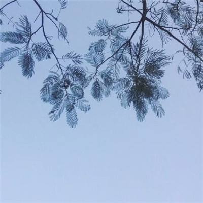 湖南福彩22选5
