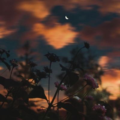 星空·体育登录入口