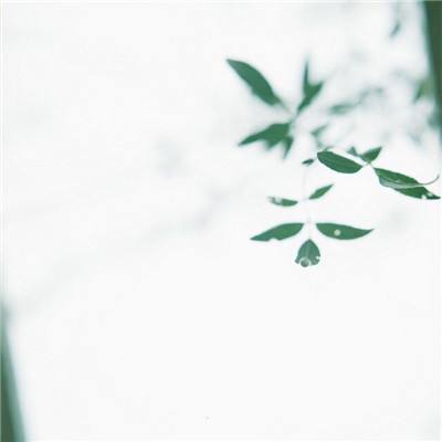 腾龙国际公司官网截图