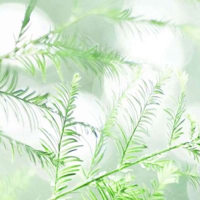 开元ios下载截图