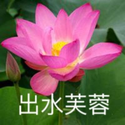 大地彩票