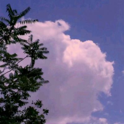 广西11选5APP