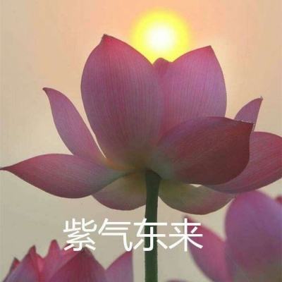 金冠彩票登陆截图