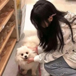 三分彩计划app